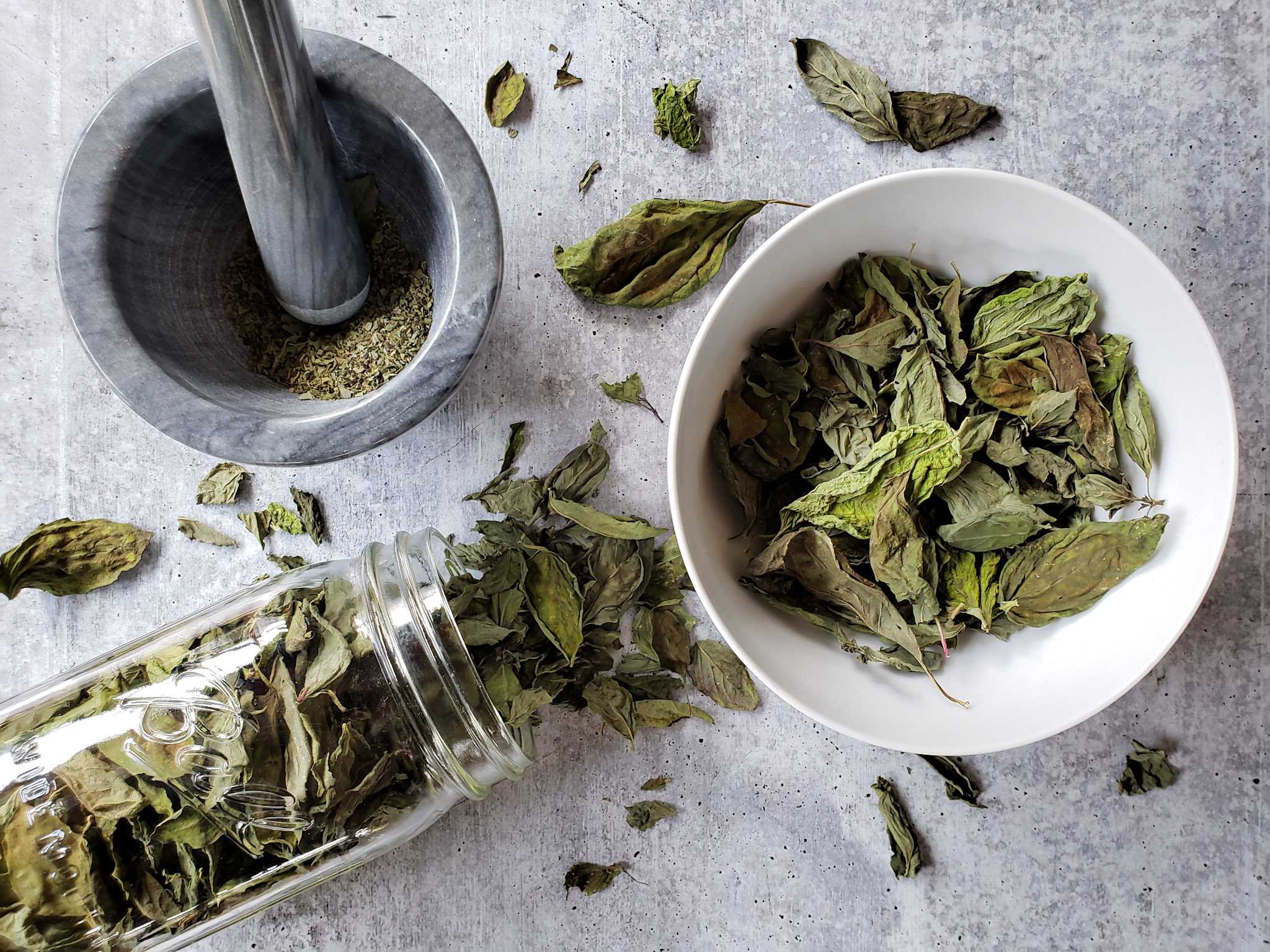 Drying basil