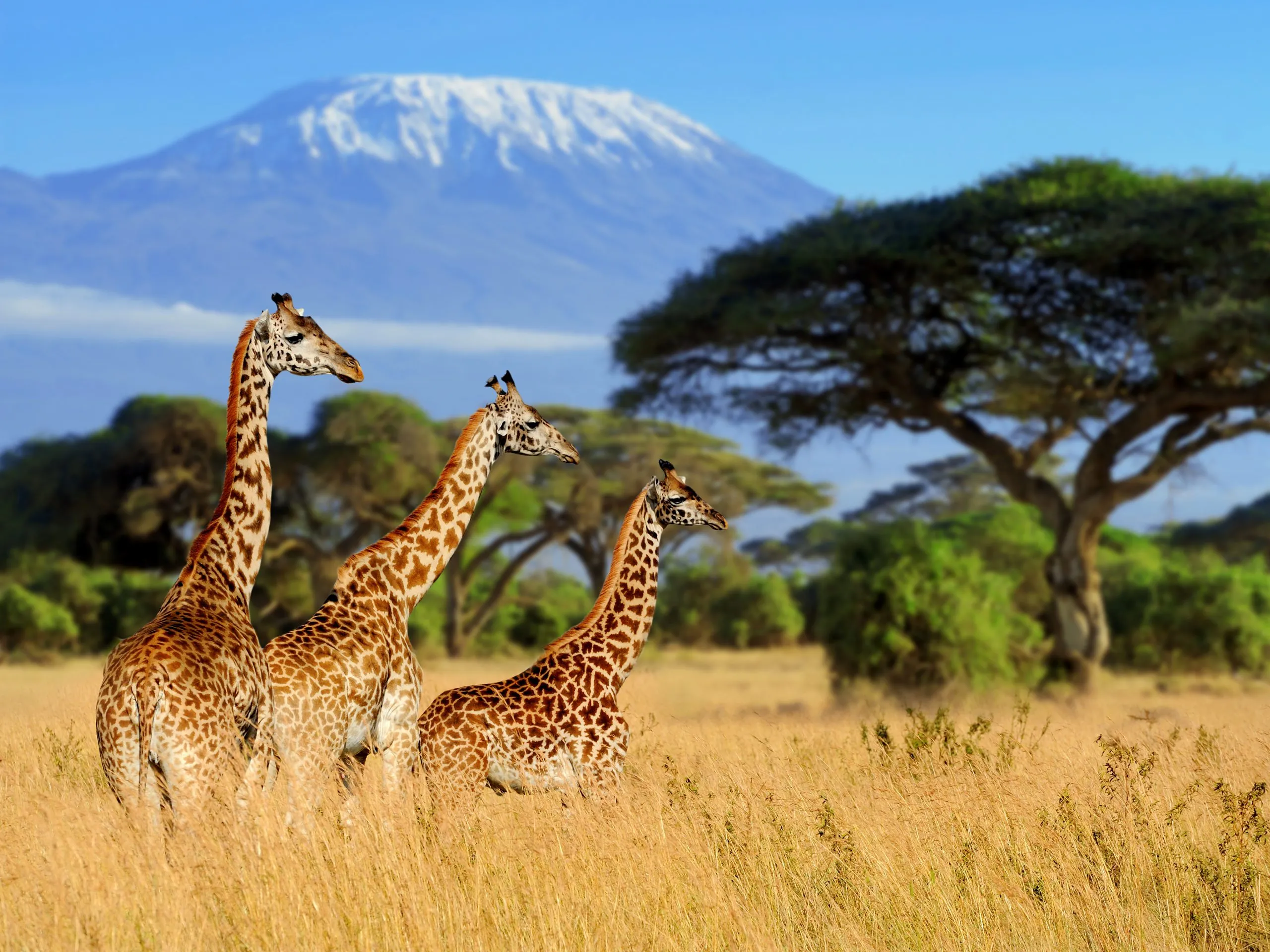 Best Vacation Deals